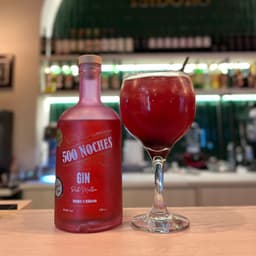 Gin Pink Malbec - 500 Noches